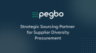 Procurement with Supplier Diversity