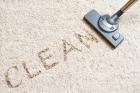 Professional Carpet Cleaning in Logan: Revitalize Your Home