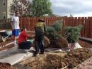Residential landscaping services near me | Ho's Beautiful Gardens