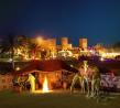 Royal Desert Safari (luxury 5 Star) | Arabian Dubai Tours & Safaris