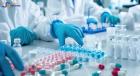 Simplifying the Drug Development Process from Discovery to Clinical Trials