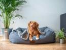 Trusted Veterinary Clinic in Chesapeake, VA