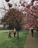 Trustworthy Senior | Senior Compassion | Elder Care at Home in Dayton