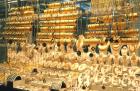 Where to Sell Gold Jewelry - DGold
