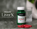 Which Ayurvedic medicine is best for a fatty liver?