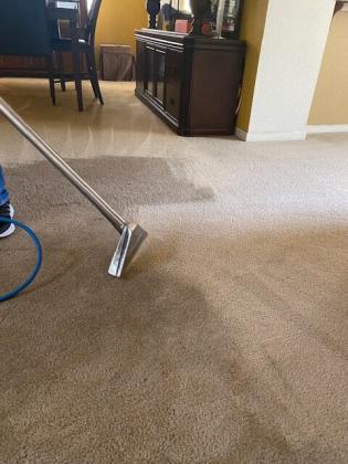 Best Carpet Cleaning and Stain Removal Services in Concord CA - Angel Care Carpet Services Inc