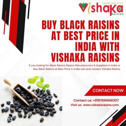 Buy Black Raisins at Best Price in India with Vishaka Raisins