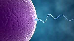 Buy Clomiphene Citrate Online: Best Option for Fertility Treatment