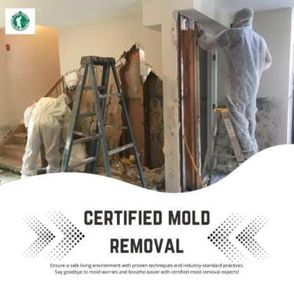 Certified Mold Removal: Safe and Thorough Solutions for Your Home or Business.