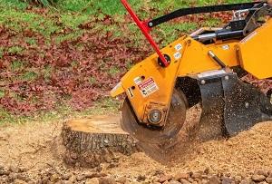 Danville Tree Service