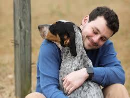 Dog Behavior Modification Training Homestead FL