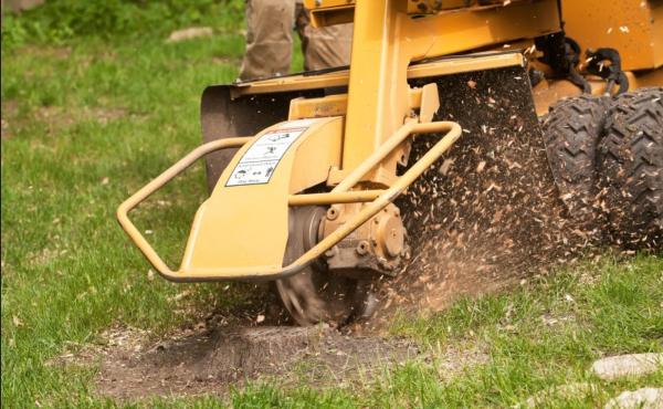 Dothan Tree Services