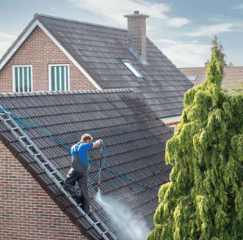 Doug's Window Washing