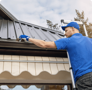 Doug's Window Washing