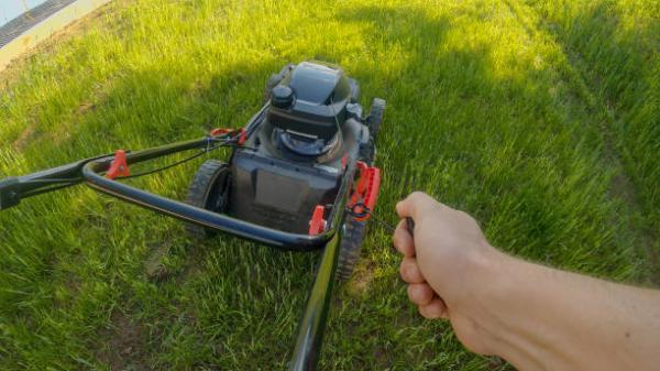 Drip irrigation | Sherwood Forest Landscaping