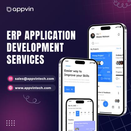 ERP application Development Services