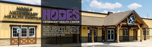 Experienced Veterinarian in Wichita, KS - Quality Care for Your Pets