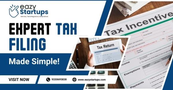 Expert Tax Filing Made Simple!