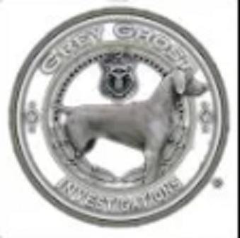 Grey Ghost - Private Investigator Kendall