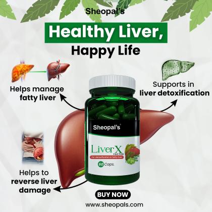 How to Improve Liver Function: Key Care and Diet Tips
