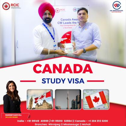 iCW Immigration: Trusted Immigration Consultant in Mississauga