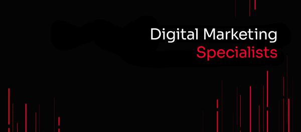 Image Traders - 23 Years of Digital Marketing Experience