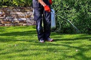 La Mirada Pest Control