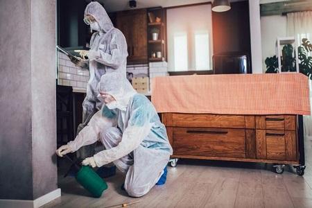 Lancaster Pest Control