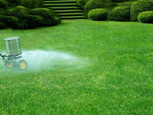 Lawn fertilization services | Pettway Lawn Professionals LLC