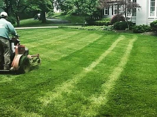 Lawn fertilization services | Pettway Lawn Professionals LLC