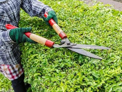 Lawn fertilization services | Pettway Lawn Professionals LLC