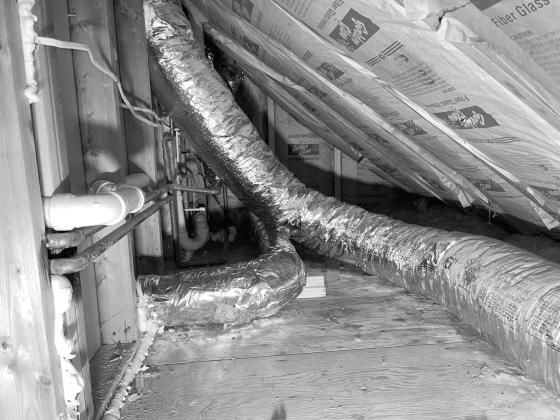 Lint Patrol Dryer Vent Cleaning