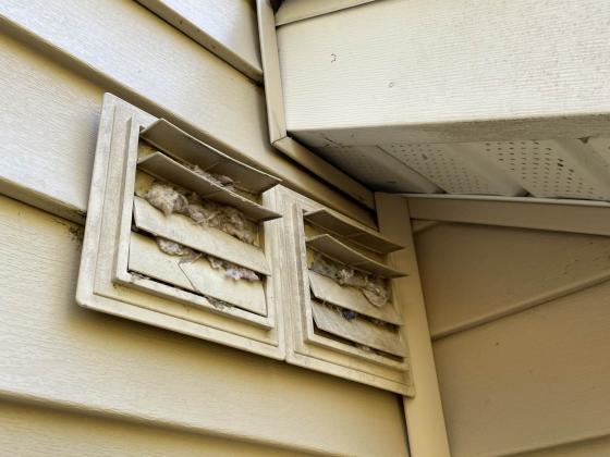 Lint Patrol Dryer Vent Cleaning