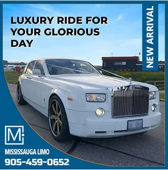 Mississauga Party Bus