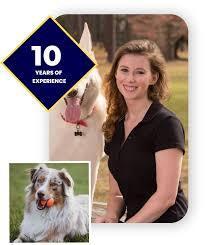 Poseidon K9 Dog Training