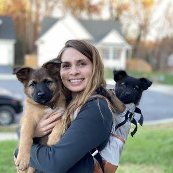 Professional Dog Trainer Tampa FL