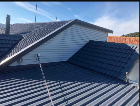Roof Painting