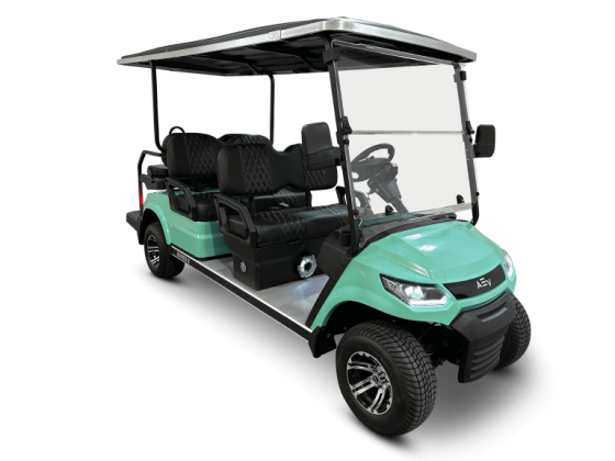 Street Legal Golf Carts 30A - Rentals, Sales and Service