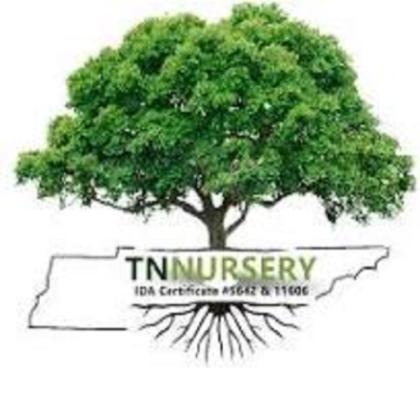 Tree Nursery Gardening Blog