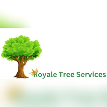 Tree Removal Sydney - Royale tree service
