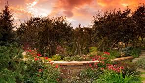 Tropical Landscaping Draper