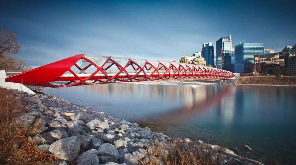 Unlock Services of Corporate Law Firms in Calgary for Your Business Needs