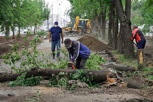 West Allis Tree Service