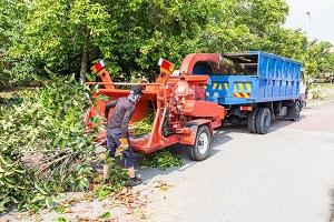 West Allis Tree Service