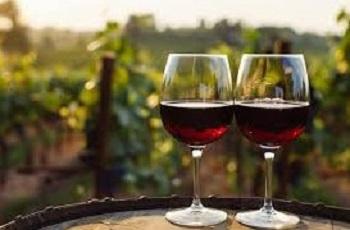 Wine Tour Driver