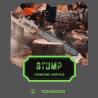 Durnachi Tree Services: Expert Stump Grinding Solutions