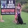 Aggressive Dog Training Knoxville TN