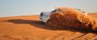 Arabian Dubai Tours & Safaris
