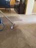 Best Carpet Cleaning and Stain Removal Services in Concord CA - Angel Care Carpet Services Inc