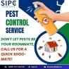 Best Pest Control in Bangalore | Pest Management | SIPC